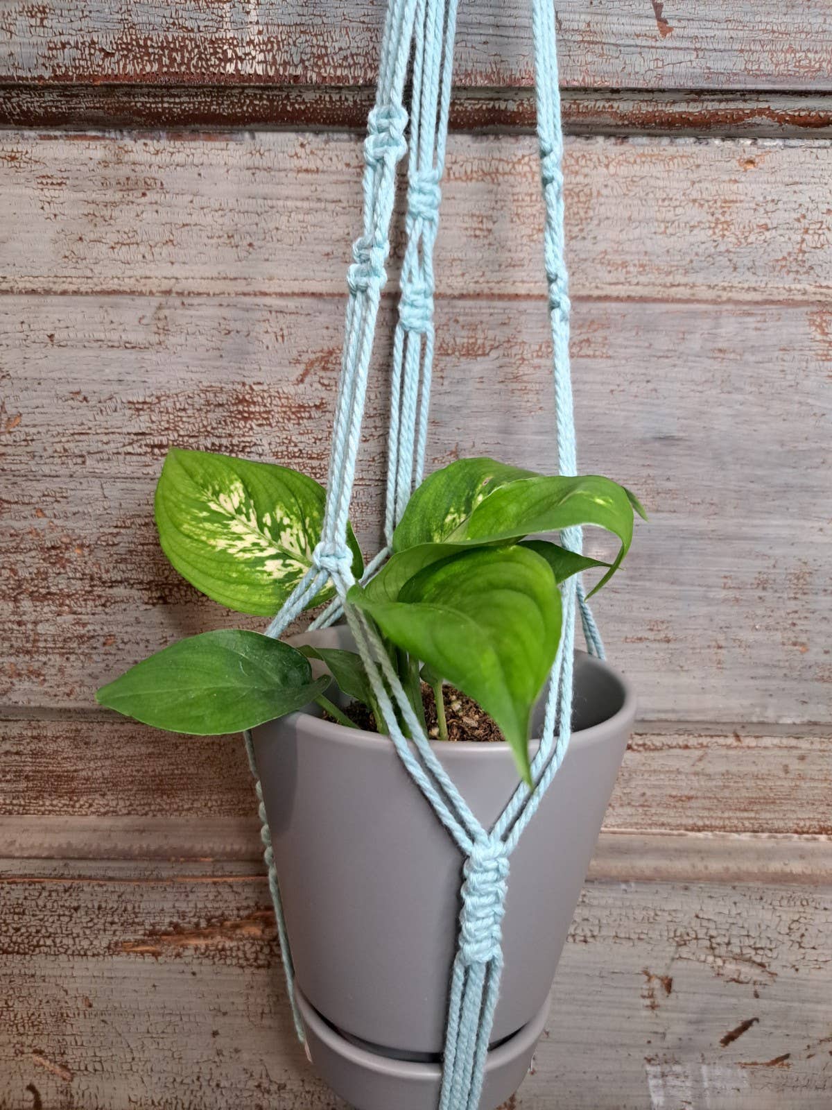 Geo Bead Macrame Plant Hanger