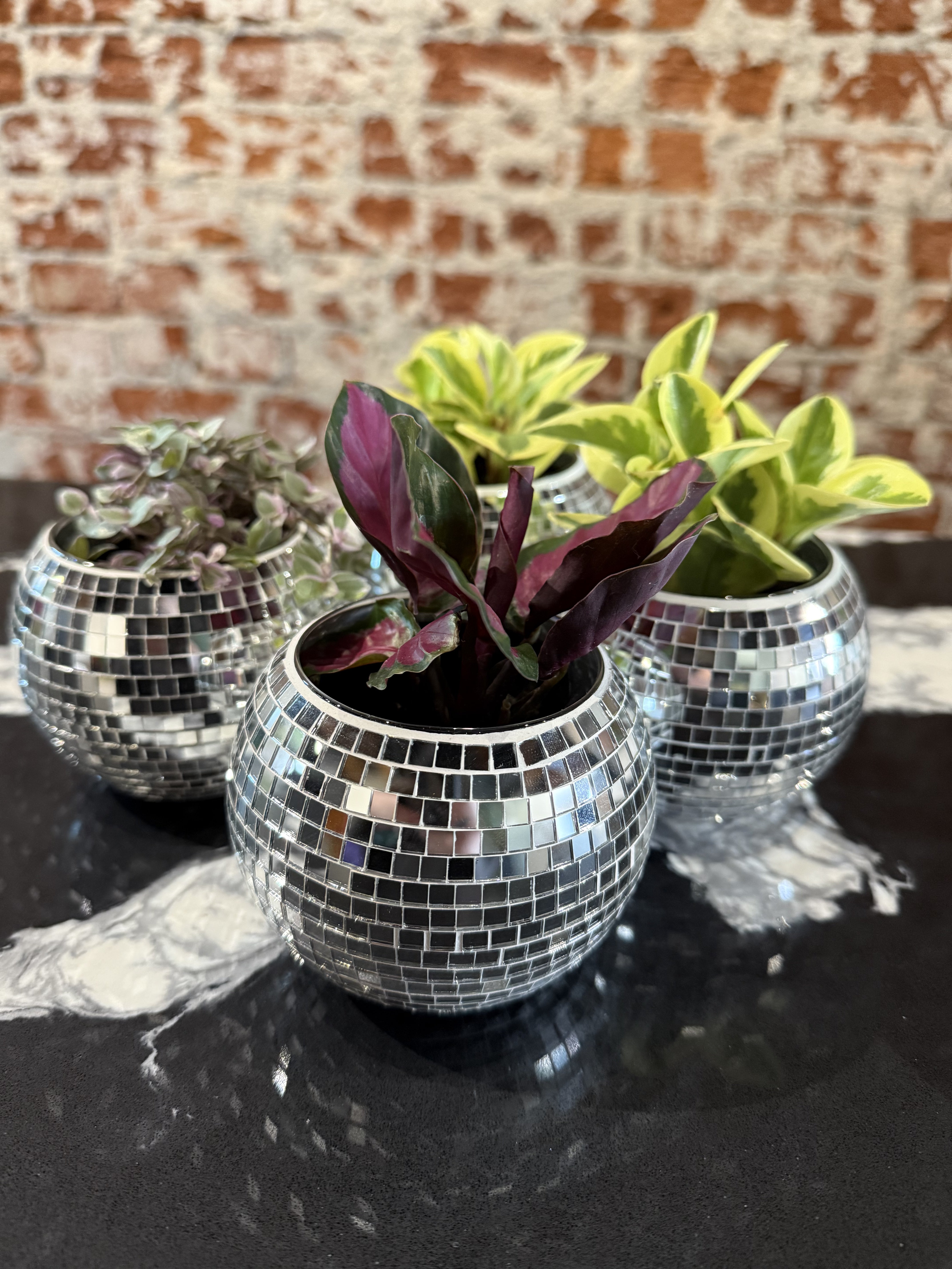 disco ball plant pot Disco Ball Planter