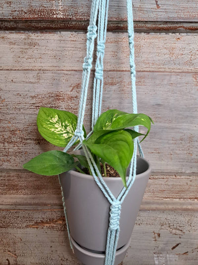 Geo Bead Macrame Plant Hanger