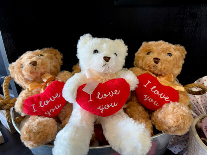 Cute little Teddy
