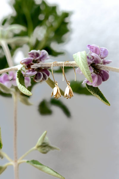 Courtenay Tulip Earrings