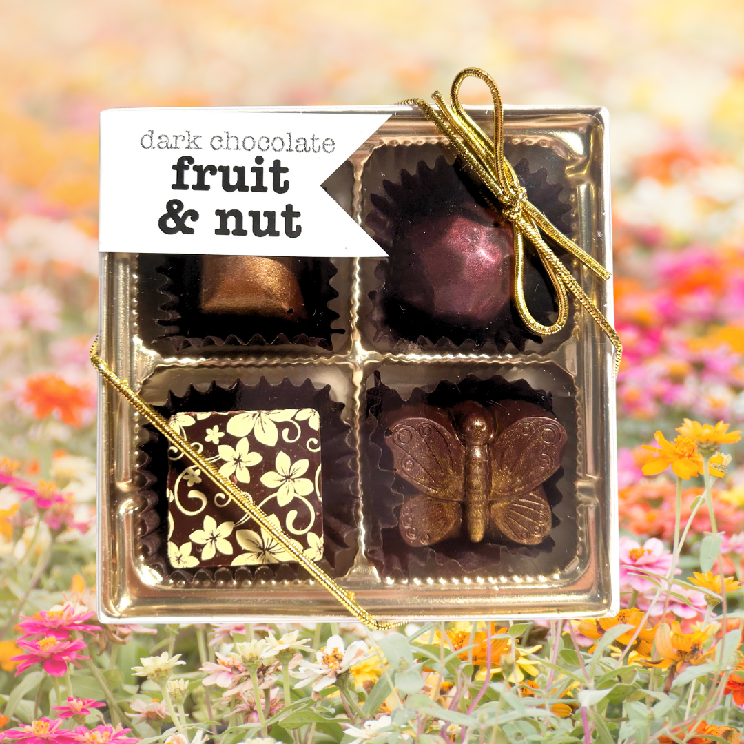 Fruit & Nut Bonbons -Dark chocolate