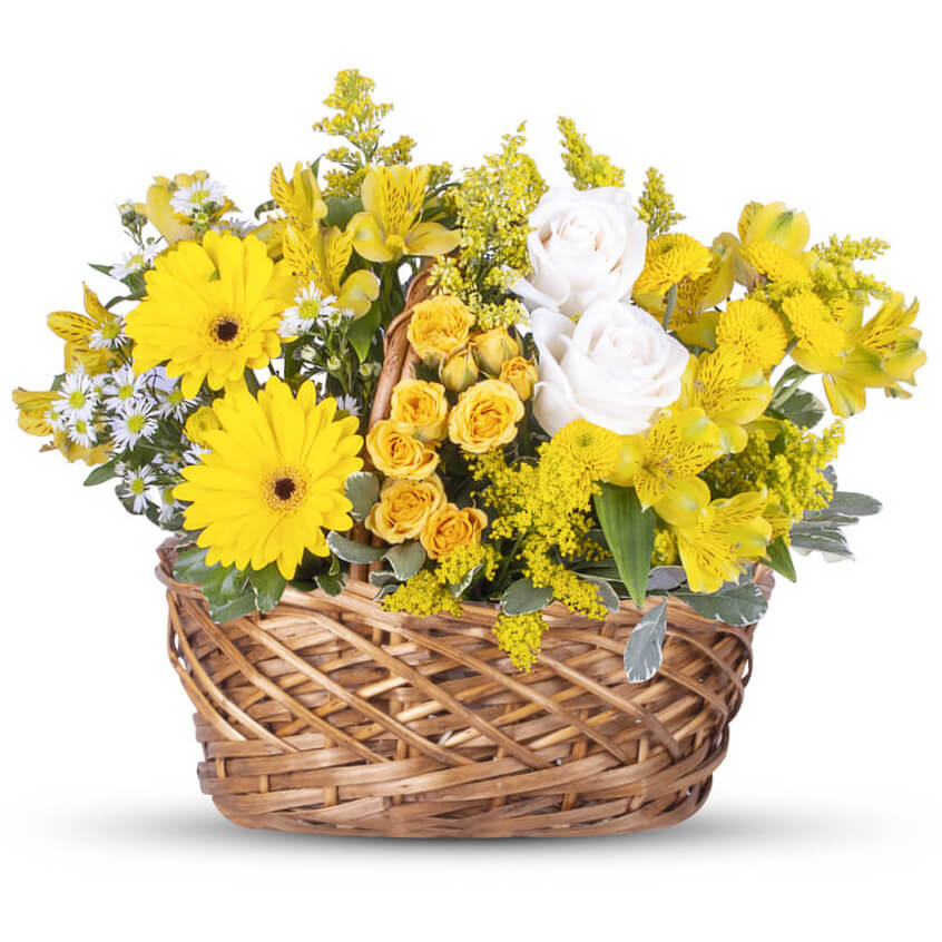 Basketful of Sunshine