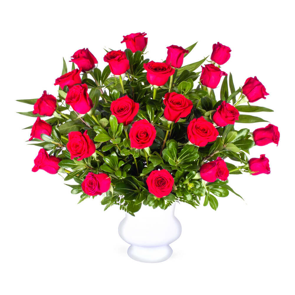 Red Rose Tribute