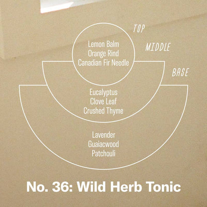 Wild Herb Tonic - 3.5 oz Reed Diffuser